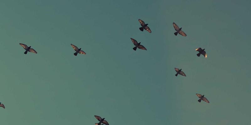 乌古尔花岗岩：数据中心与精密仪器房的防静电、高稳定与超强承重解决方案